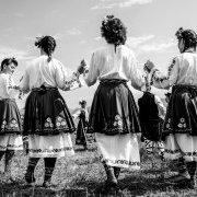 Festival de la lavande
